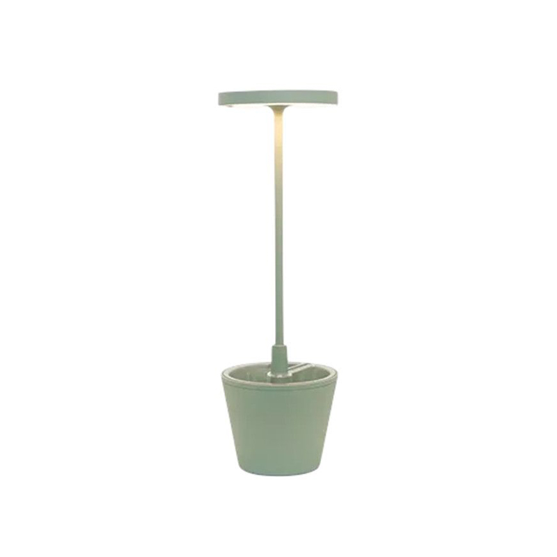 poldina_reverso_salvia_boriani